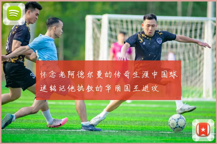 怀念老阿德尔曼的传奇生涯中国球迷铭记他执教的华丽国王进攻