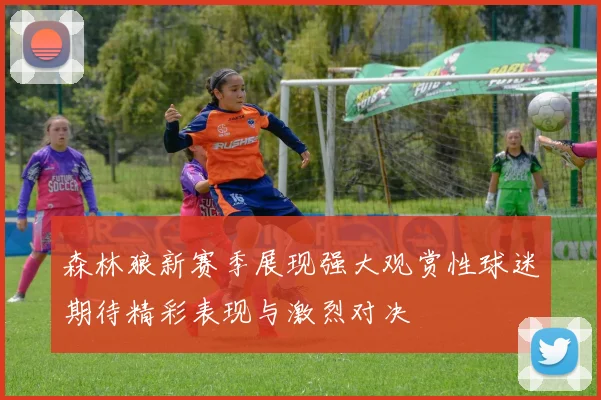 森林狼新赛季展现强大观赏性球迷期待精彩表现与激烈对决